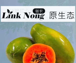 深圳市链农商贸有限公司